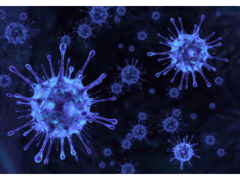 Foto Virus